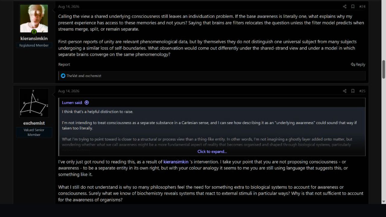 Dark-mode presentation of the Sciforums contribution and the discussion it prompted